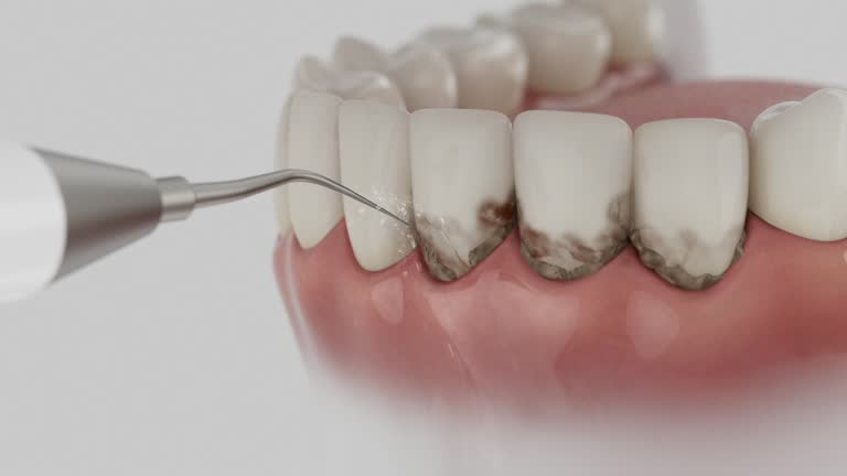 Reliable Dental contractor in Minier, IL by Dentist Open Now